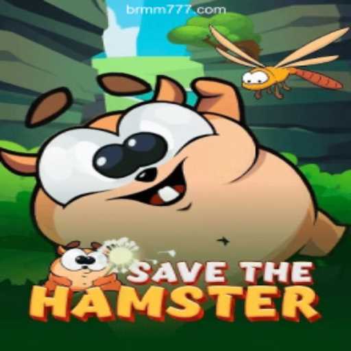 Understanding the Thrilling World of SavetheHamster
