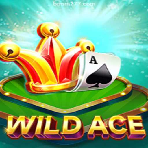 Exploring WildAce: The New Frontier in Online Gaming